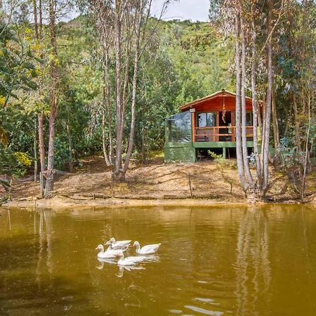 Cabana Tipo Glamping Savieza Life Experience Nemocon Exteriör bild
