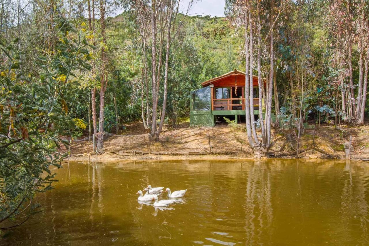 Cabana Tipo Glamping Savieza Life Experience Nemocon Exteriör bild